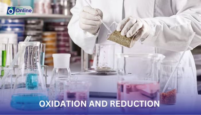 Lesson 03: Identifying Oxidizing and Reducing Agents
